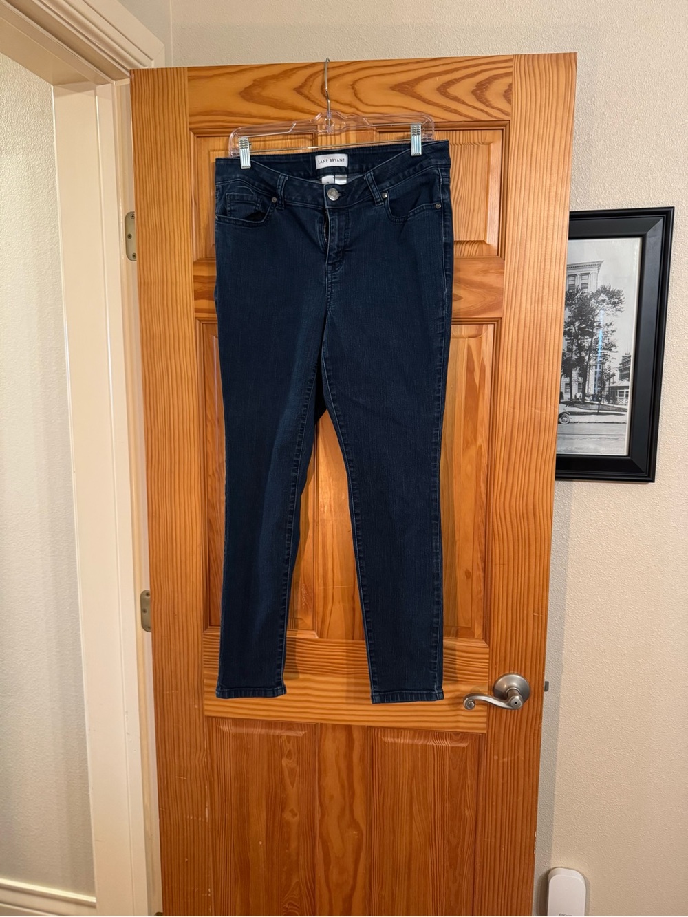 Lane Bryant Women's Dark Blue Skinny Jeans